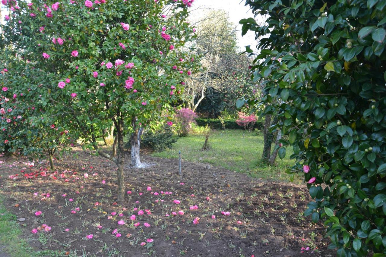 Bed and Breakfast Quinta D'Avó Amélia Alquerubim Exterior foto